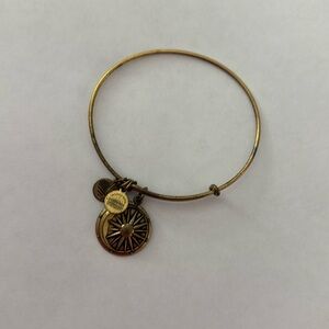 Alex and Ani Cosmic Balance bracelet